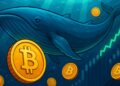 BtcWhales