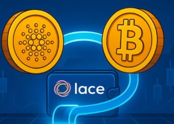 Lace