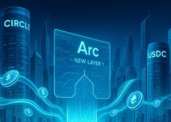 new layer 1